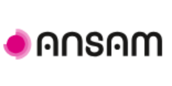 Groupe ANSAM